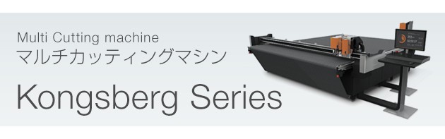 Kongsberg概要